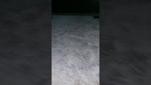 вынос строительного мусора