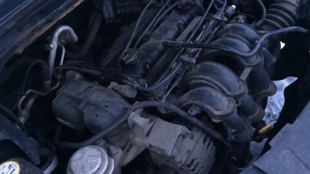 Ford Mondeo 4 РАБОТА ДВИГАТЕЛЯ КАК У ДИЗЕЛЯ. ДВИЖОК 1.6. БОЛЕЗНЬ ДВИГАТЕЛЕЙ ТАКОГО ОБЪЕМА НА ФОРД! смотреть онлайн