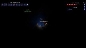 Coop terraria с TheNoobyEzik