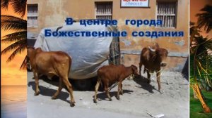 Дварка священный город Господа Кришны