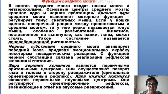 Нейрофизиология Лекция№5 Жулаева А и смотреть онлайн