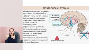 Сон как когнитивный процесс, или почему «утро вечера мудренее»