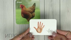 По следам домашних животных, по следам диких животных