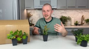 HUGE Steve's Leaves Unboxing (2022)