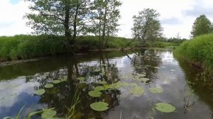 Один день на малой реке. Рыбалка нахлыстом как она есть, когда и без больших трофеев бывает классно