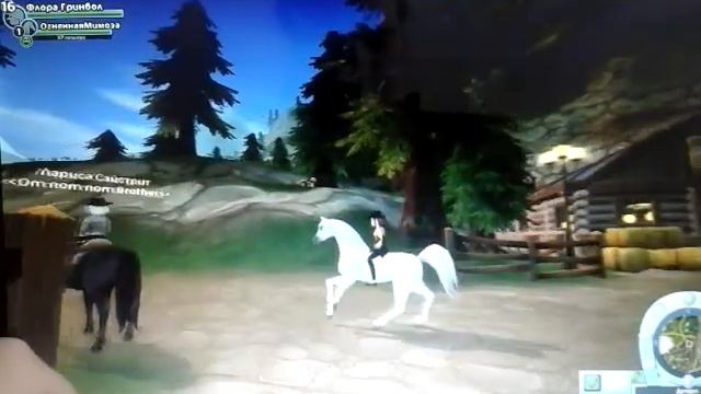 Покупка лошадей шведа и араба?????? смотреть онлайн