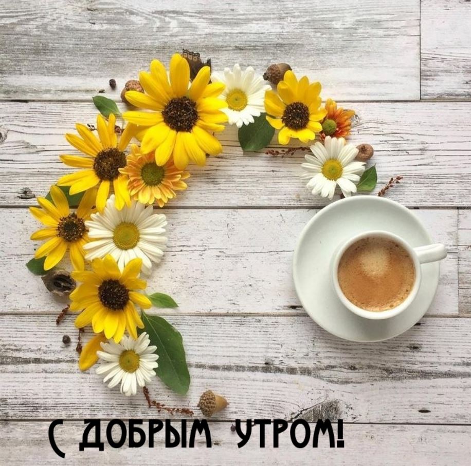 С добрым утречком, хорошего денечка!