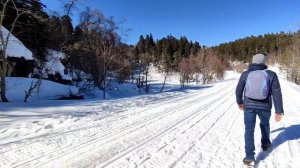 Поездка в Адыгею. Плато Лаго-наки. Заповедник, горы, горки, термальные источники. 1 день за 16 мину