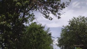 Тв 1000 Русское кино 1080p