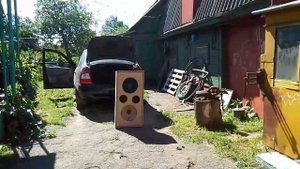 Мощная колонка с динамиком 81 года 2А 12у4