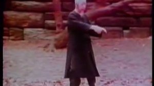 鄭子太極拳37式_鄭曼青_楊澄甫_Tai chi Form 37_Cheng Man Ching Taiji & Yang Chengfu   37 форма тайцзицюань   ЯН .