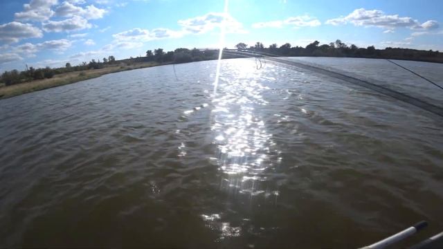 Платный ставок в Недайводе проверенно рыба есть! смотреть онлайн