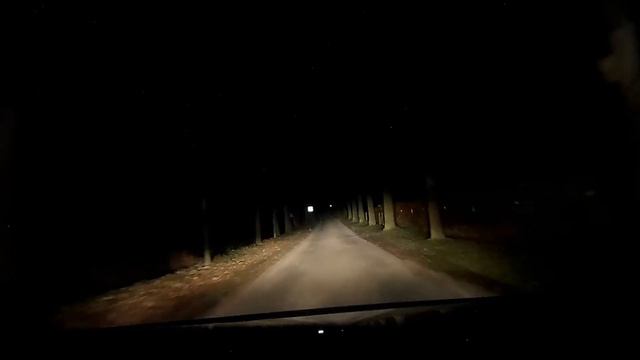 футаж - дорога - ночь ,заяц перебегает дорогу смотреть онлайн