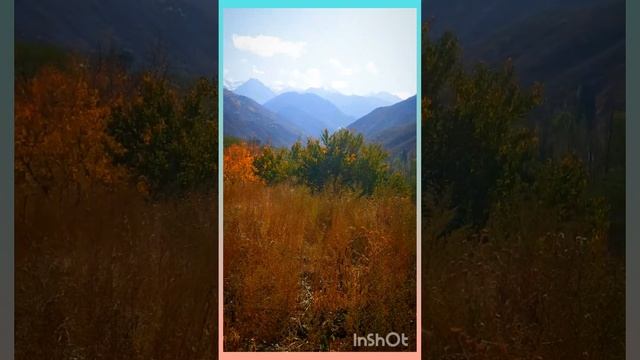 Золотая осень в Иссыке. На берегу речки Иссычки. смотреть онлайн