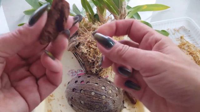 Коррекция блока с Мильтонией. Избавляемся от пересушки! смотреть онлайн