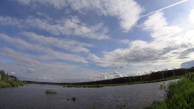 Vlog №1 Волчица Лейка. Фотоохота или как нужно охотиться на животных. смотреть онлайн