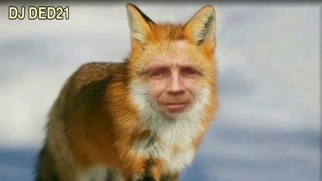 #Хатабыч в анекдотах с DJ DED21 смотреть онлайн