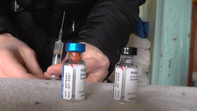 Как сделать прививку собаке в домашних условиях. смотреть онлайн