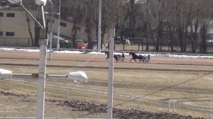 Московский ипподром. Бега. 26.03.17. Квалификационный заезд 1-в(119)