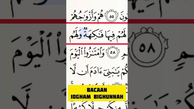 BACAAN IDGHAM BIGHUNNAH