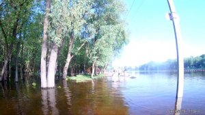 Сенсация! Река Десна вышла из берегов!