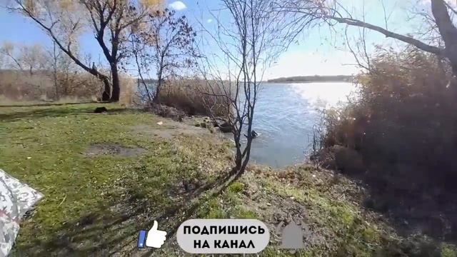 В ПАЛАТКЕ С БУРЖУЙКОЙ смотреть онлайн