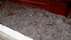 Страх и ненависть при выращивании кивано из китайских семян.