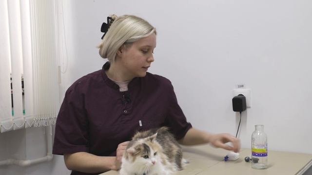 ВЕТЕРИНАРИЯ