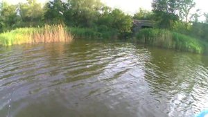 рыбалка №1