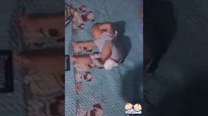 Счастье - это Дети. В каких только невероятных позах спят наши детки