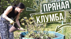 Клумба для релакса   Ароматы этих трав, вам понравятся точно ✔️