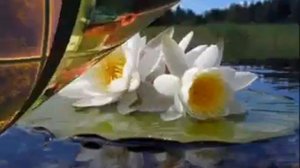 Притча о добре и зле