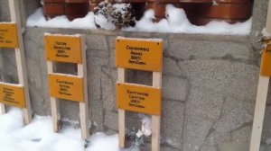 Красноярские столбы - Интересные факты