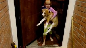 Наконец-то мне подарили собаку!