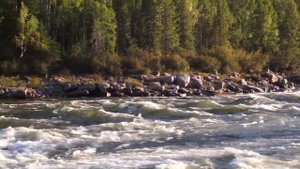 Пороги малого Енисея.