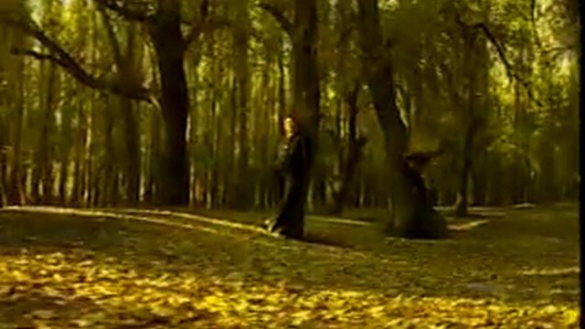 Санхурова Салима - До свидания осень. Дунганские песни смотреть онлайн