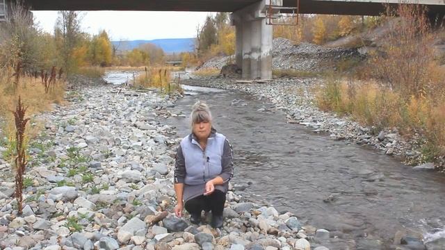 РЕКА ГАВАНКА сухой каменный ручей смотреть онлайн