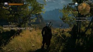 The Witcher 3   Заказ  Таинственные следы