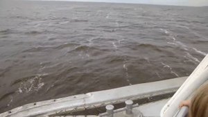 Метеор-240. Волнение в Куйбышевском водохранилище.