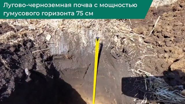 Полевое почвенное обследование на Алтае, Целинный район, ООО «Фарм» / Агроноут смотреть онлайн