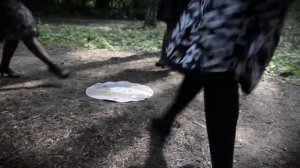 Ирландский танец кастарват (точнее, венгерский)