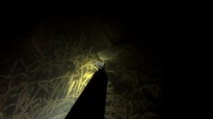 база Веселый Маныч ноябрь 2016 сом сазан щука судак