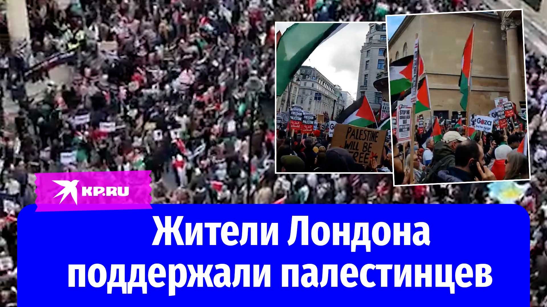 В Лондоне вышли на митинг поддержать палестинцев