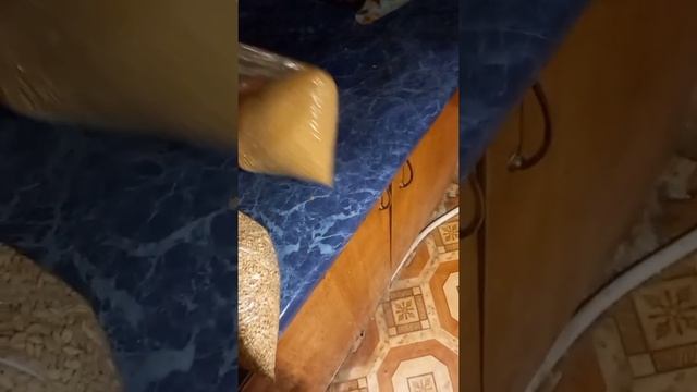 Самая бюджетная и убойная прикормка для рыбалки ;) Рецепт на моем канале . #рыбалка #прикормка #рыб смотреть онлайн