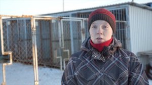 Чудо №2. Приют для животных