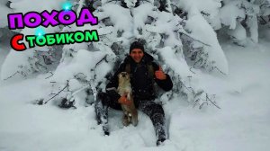 Вышли с Тобиком на природу в -20. Упало дерево на голову. Первый снег.  Отдых на природе.
