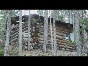 ДОБИРАЮСЬ ДО ИЗБЫ. ЗИМОВЕЙНЫЕ ДЕЛА И ТАЁЖНАЯ БЫТОВУХА. ОХОТА В НОВЫХ МЕСТАХ. ПОТЕРЯЛСЯ В НОЧИ!