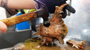 ГИГАНТСКАЯ МОРСКАЯ УЛИТКА. Тайская уличная еда.