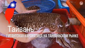 Разделка гигантской каракатицы на рынке морепродуктов - тайваньская уличная еда / СербаТВ 🔴