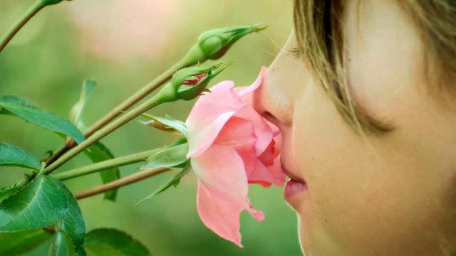 Лучшие песни и фото в хорошем качестве смотреть онлайн